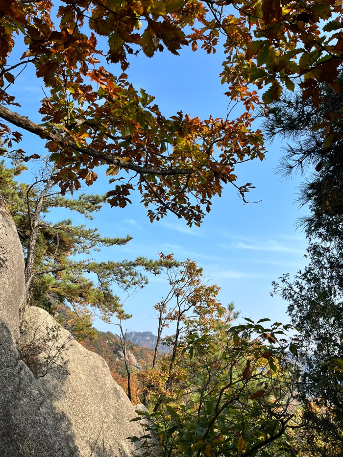 하산하는 길