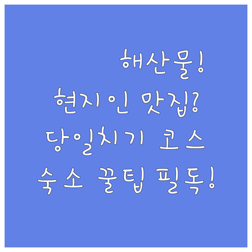 현지인 추천 마이즈루 타나베 성터 해..