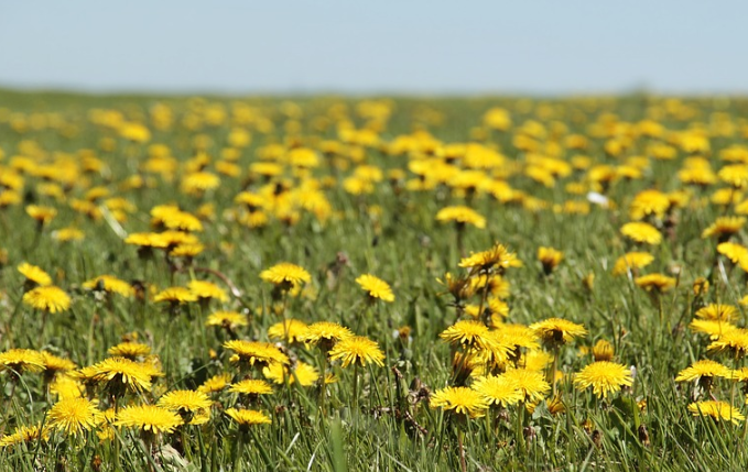 지방간줄이는방법