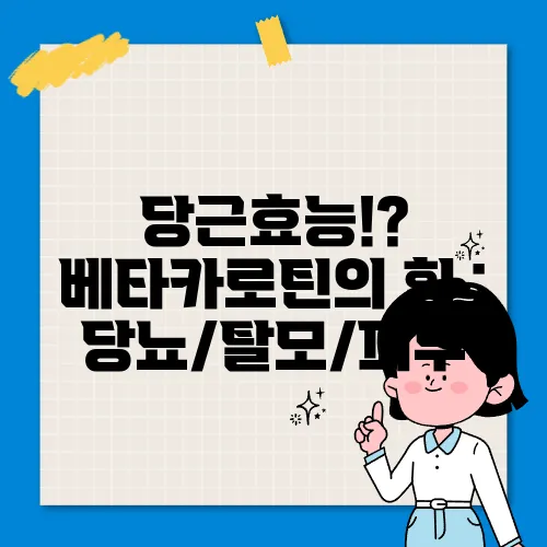 당근효능!? 베타카로틴의 힘 : 당뇨/탈모/피부