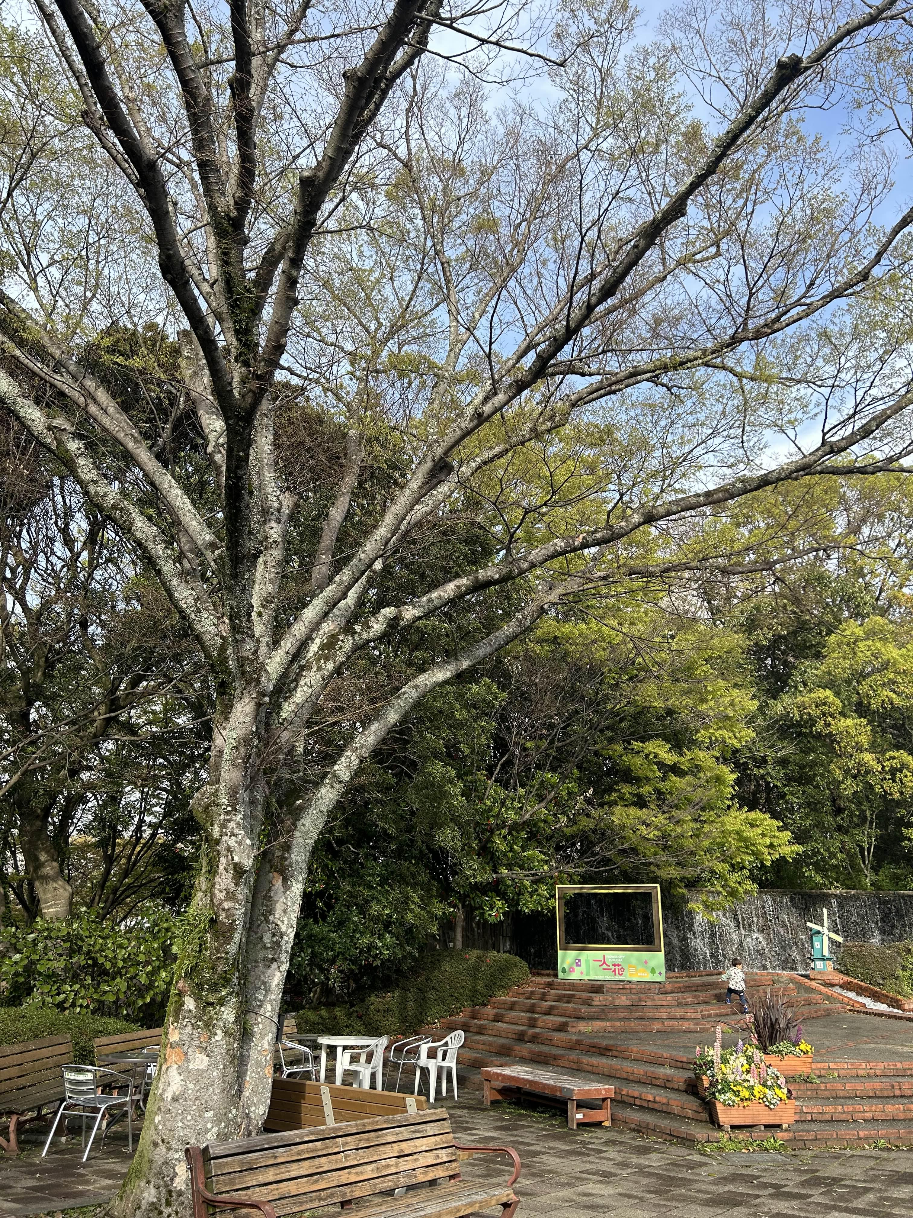후쿠오카 아이들과 가볼 만한 곳 후쿠오카 동물원 - undefined - 모든 영역 후쿠오카 아이들과 가볼 만한 곳 후쿠오카 동물원 - undefined - 모든 영역