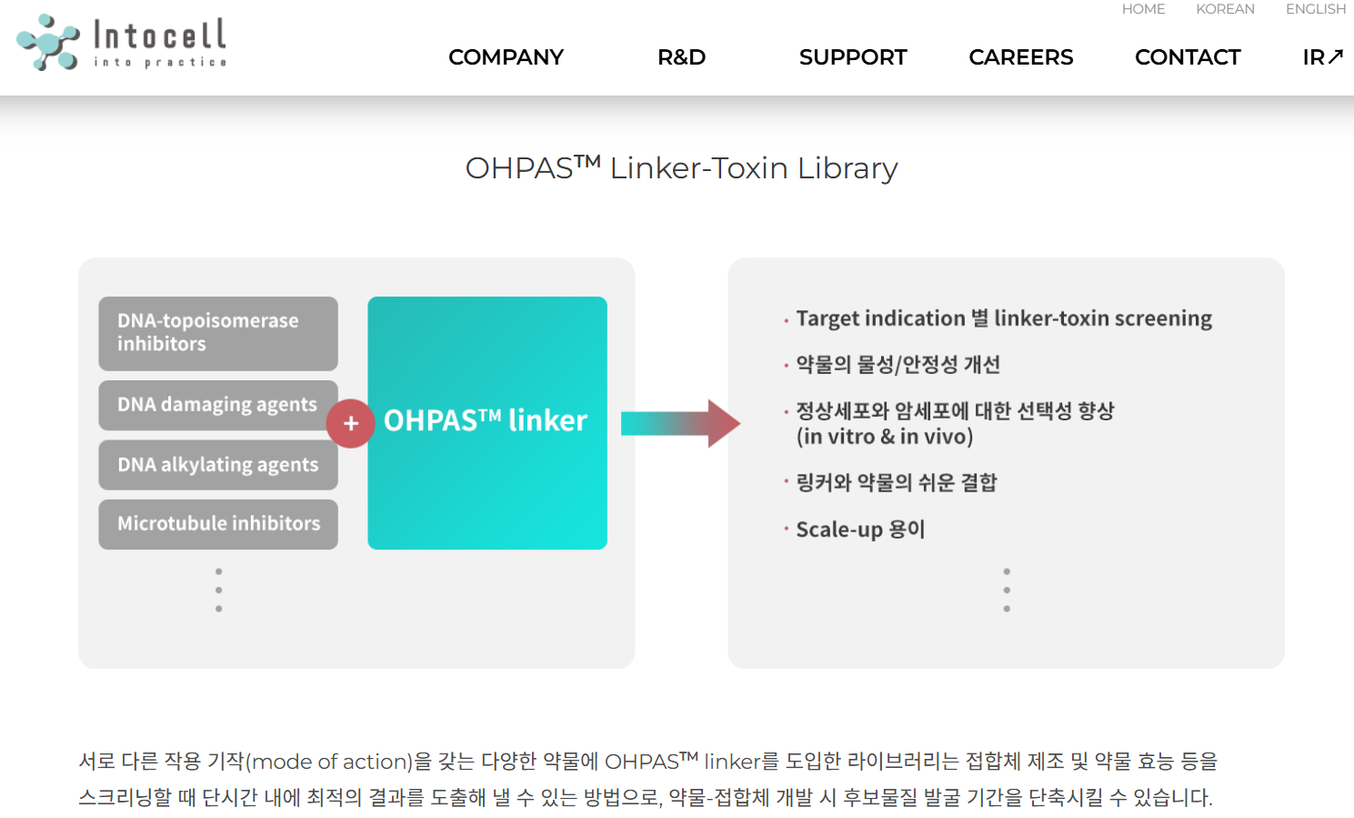 인투셀 공모주 청약일정 수요예측 상장