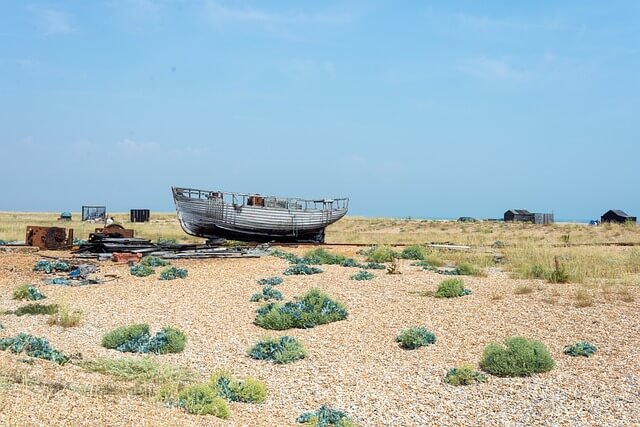 푹쉬면 다행이야