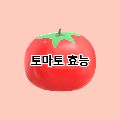 토마토-효능