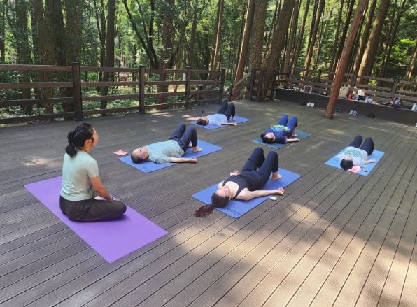용문산 산나물축제에서 자연을 느끼는 요가 체험