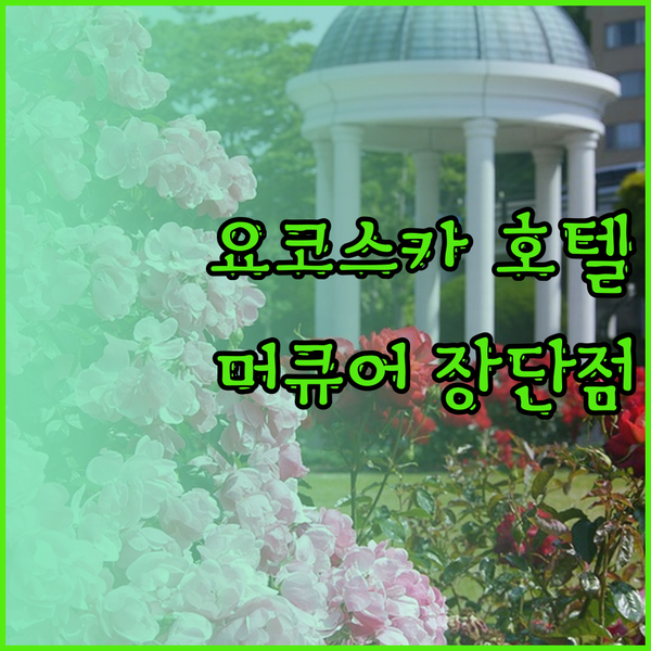 요코스카 호텔 선택 고민 해결 가이드