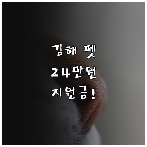 김해 반려동물 진료비 최대 24만원 ..