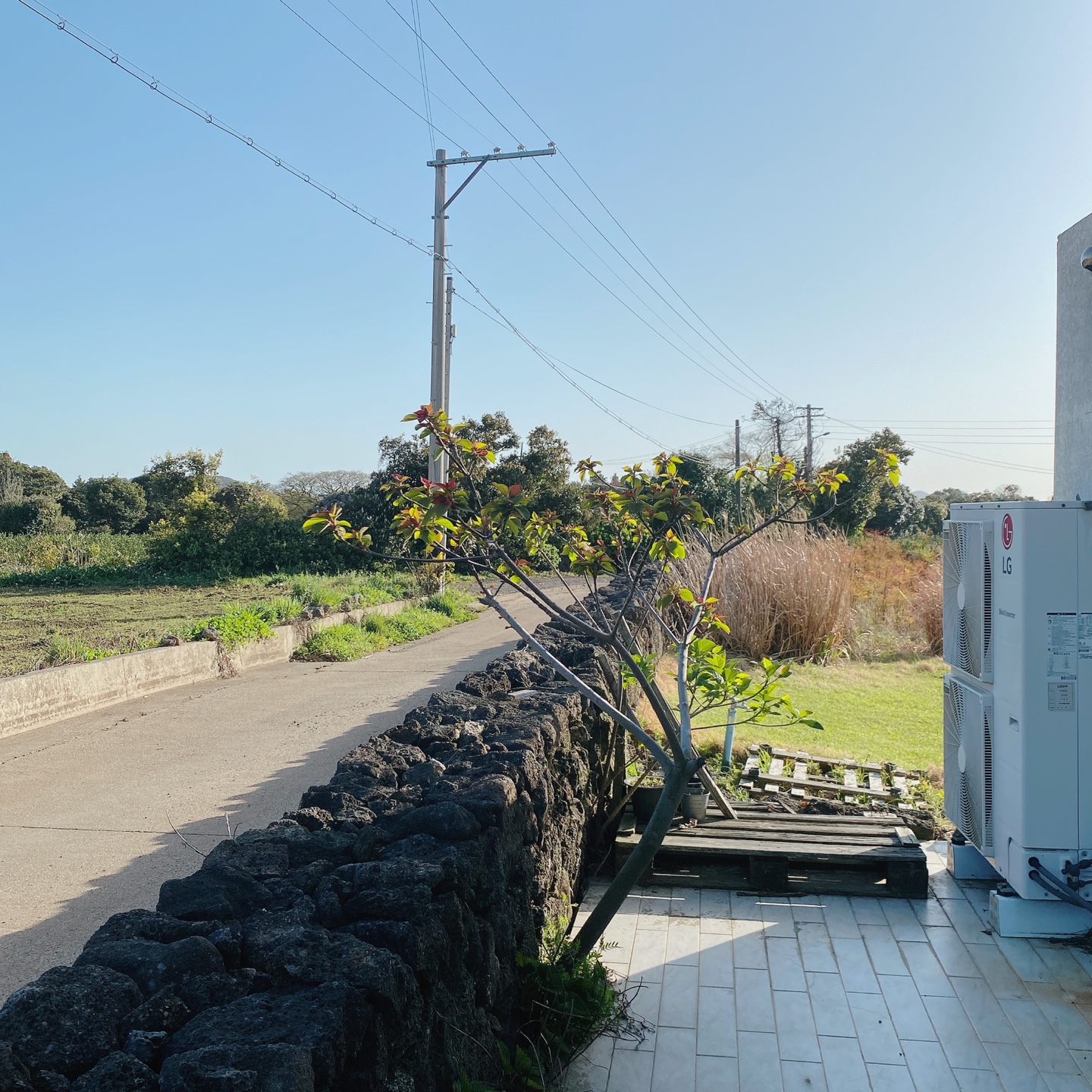 제주 성산 성읍민속마을 에그타르트 포르투갈 카페 아줄레주