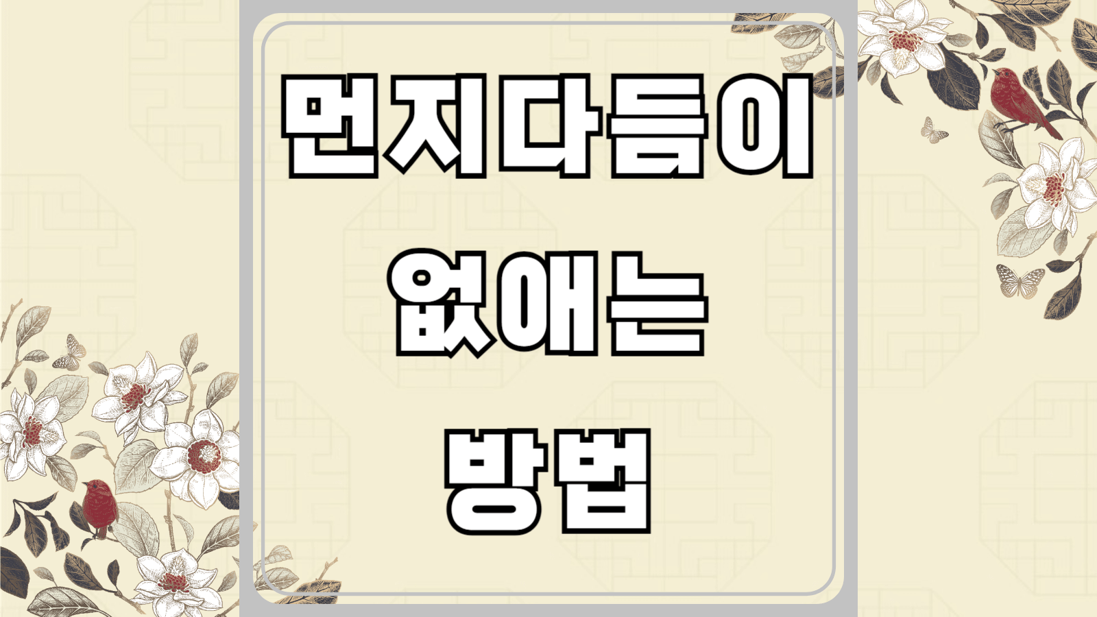 먼지다듬이 없애는 방법
