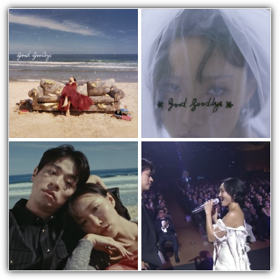 화사 본명, 나이, 키, 프로필, 재산, 부동산, 수입, 박정민 굿굿바이 뮤직비디오, 반응, 향후 전망