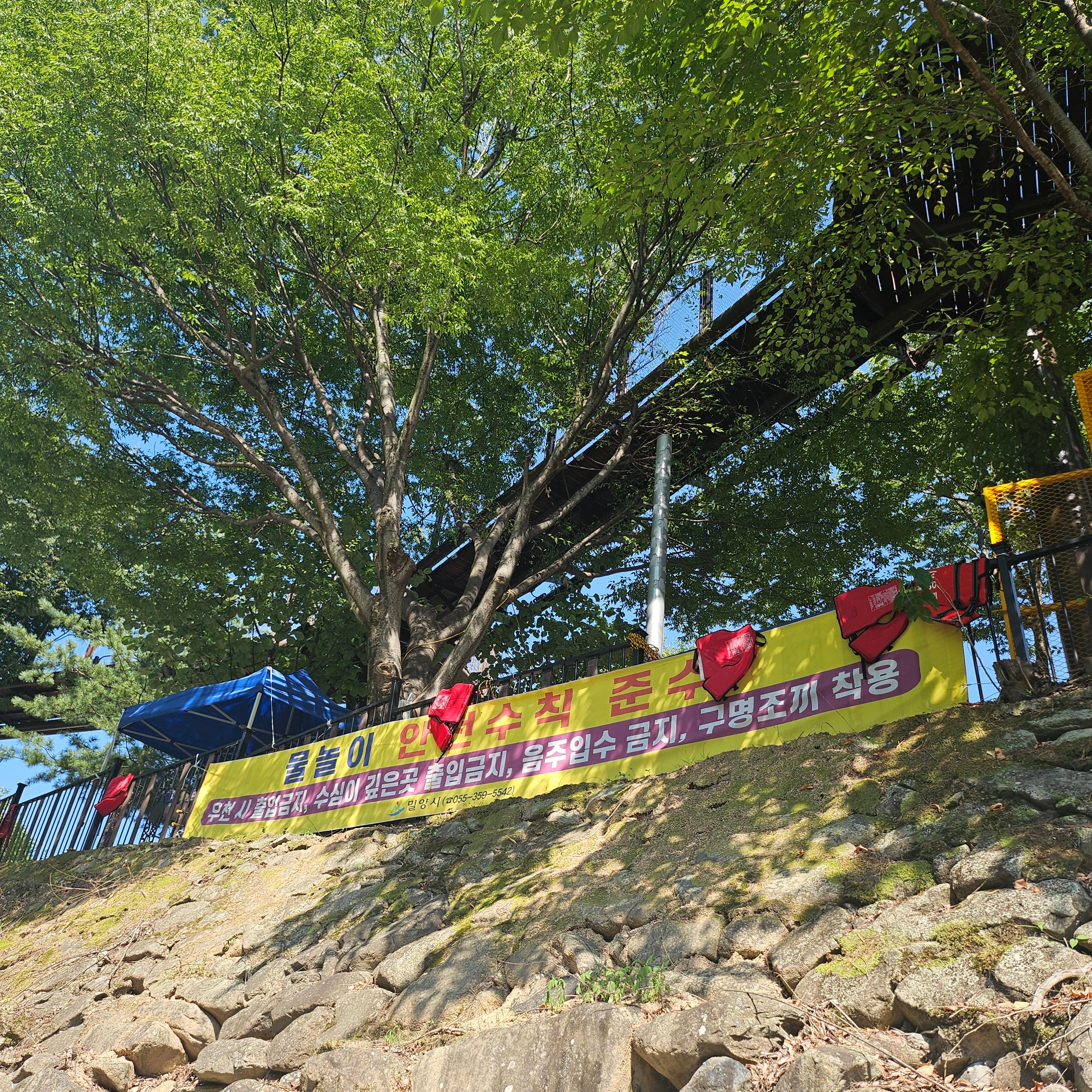 계곡 사진