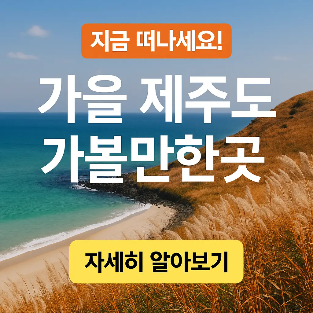 가을 제주도 가볼만한곳
