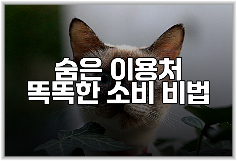 숨은 이용처 똑똑한 소비 비법
