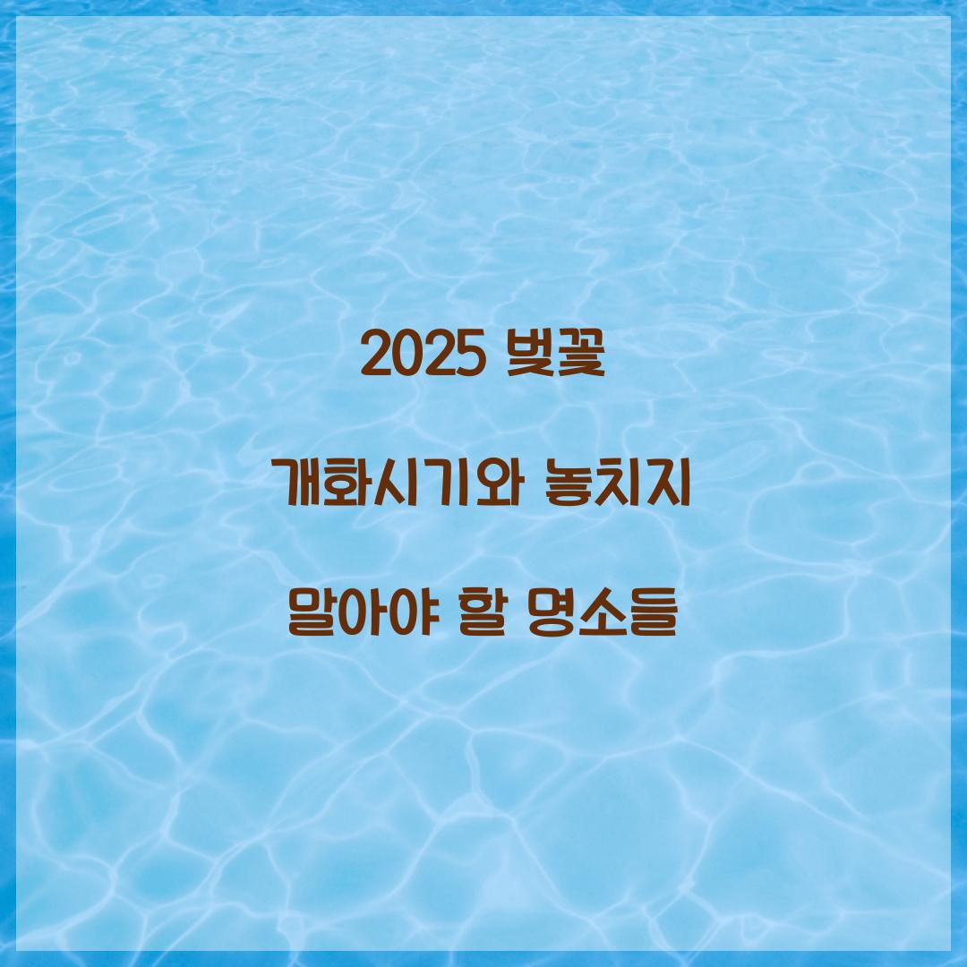 벚꽃 개화시기 2025