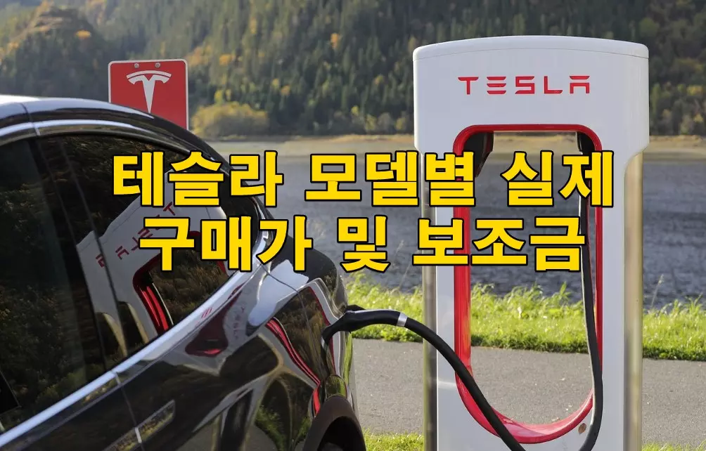 테슬라 모델별 실제 구매가 및 보조금