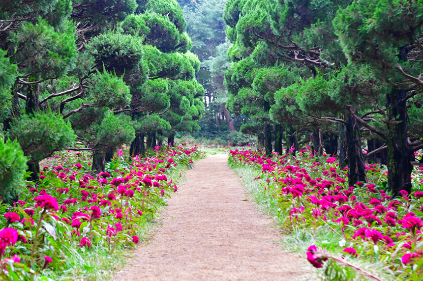 특색있고 아름다운 민간 정원 30선 추천 여행 - 28. 익산 아가페 정원