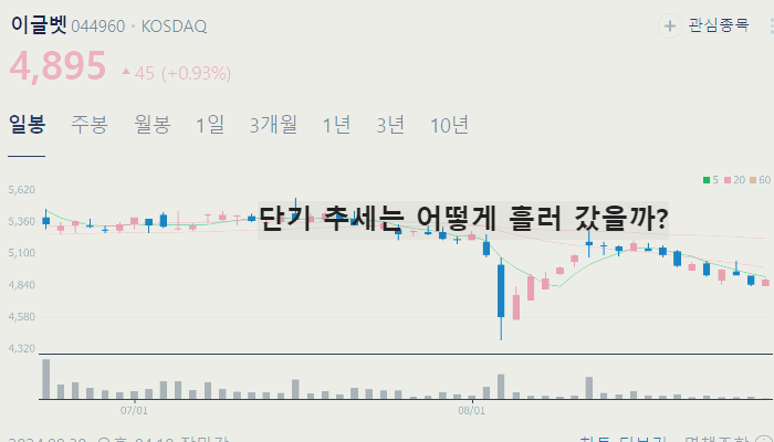 아프리카 돼지열병 관련주 백신 대장주 TOP9