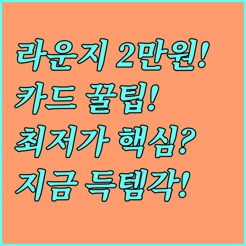 공항 라운지 이용권 최저가 2만원대 ..