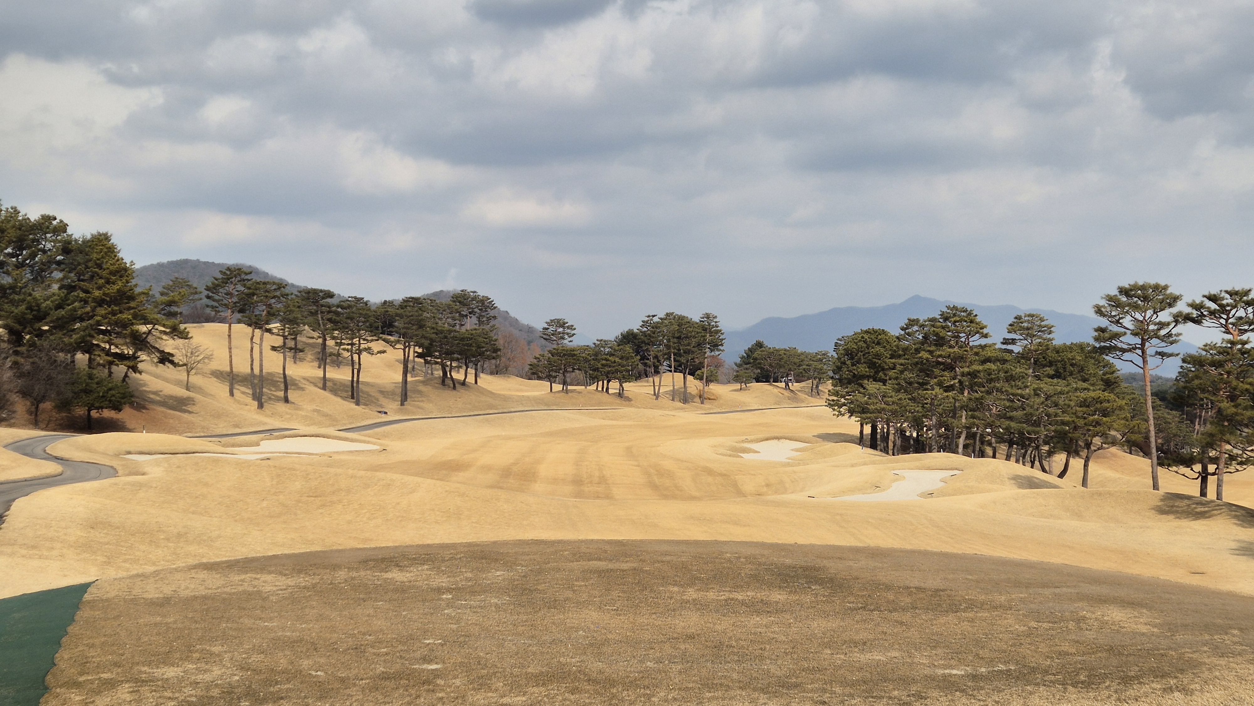 아도니스cc 동-서 코스 사진 및 공략 정보