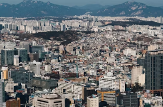 2026 부산 민생지원금 3차 신청 지원 대상부터 동백전 지급 신청 방법까지