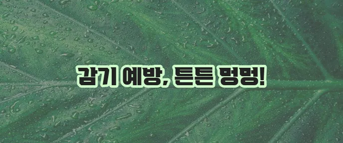 강아지 감기 예방책은 반려견 건강을 위한 믿음직한 방법입니다!