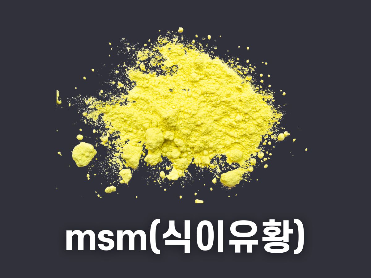 msm의 효능