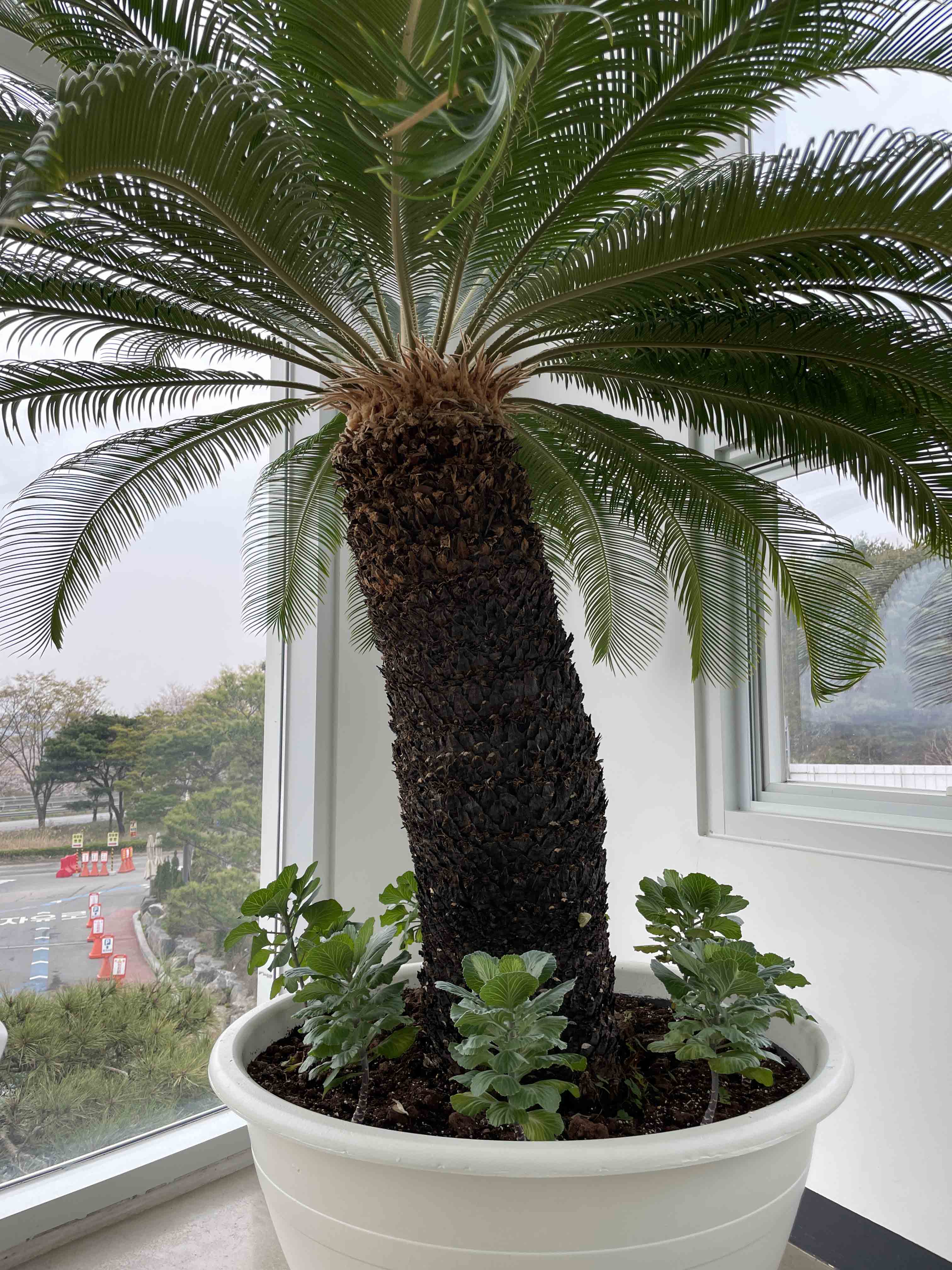 문지리535 파주 맛집