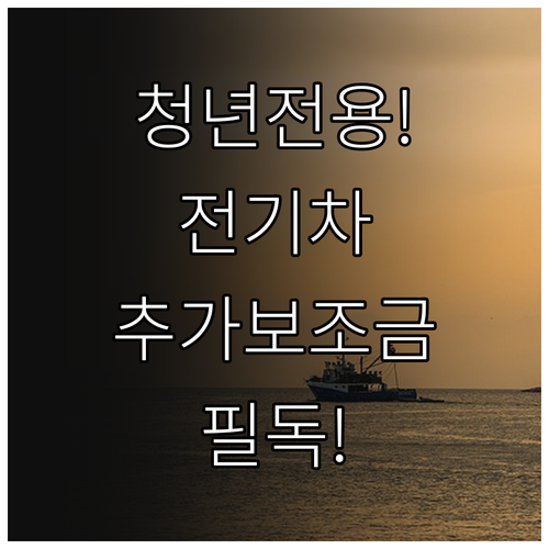 생애 첫 전기차 구매 시 청년 추가 ..