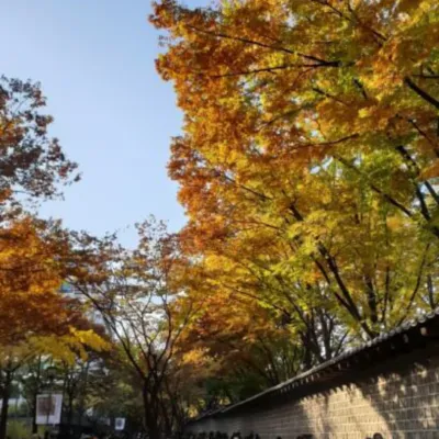 창덕궁-가을단풍가볼만한곳