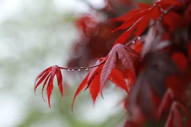 손없는날 이사 밥솥 이사비용_3