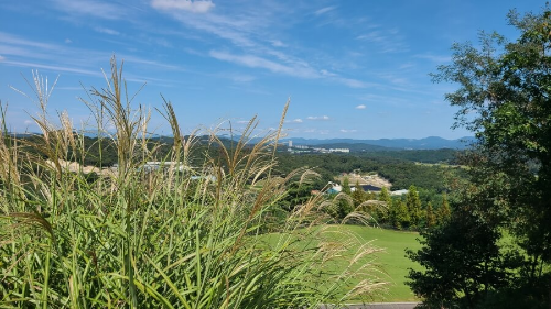 남여주CC 가격, 회원권, 예약 하기