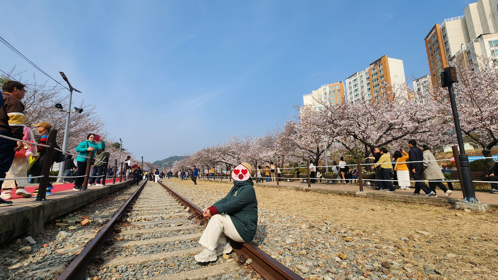 이미지-alt-태그-경화역 벚꽃길