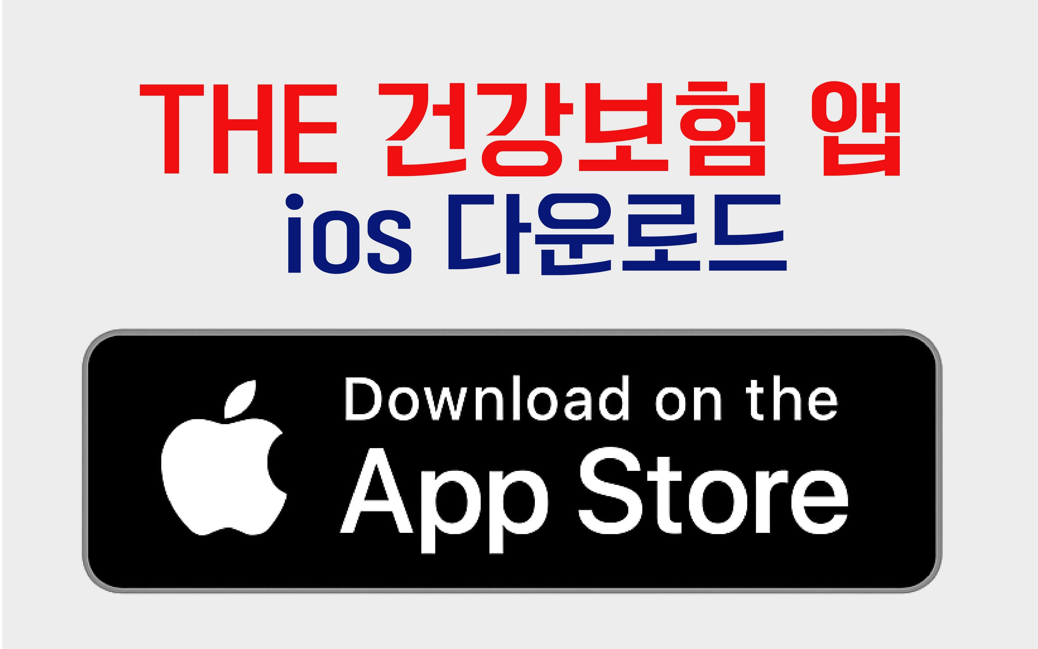 더건강보험앱-아이폰다운로드