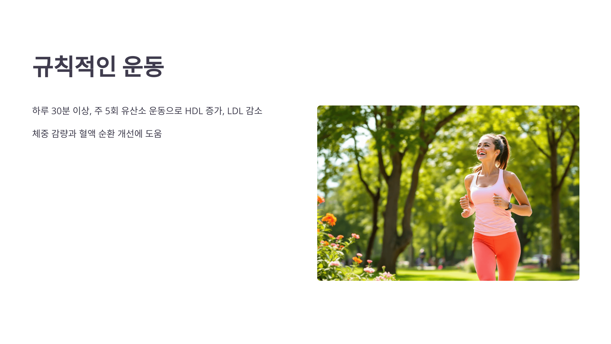 콜레스테롤과 관련된 사진입니다.