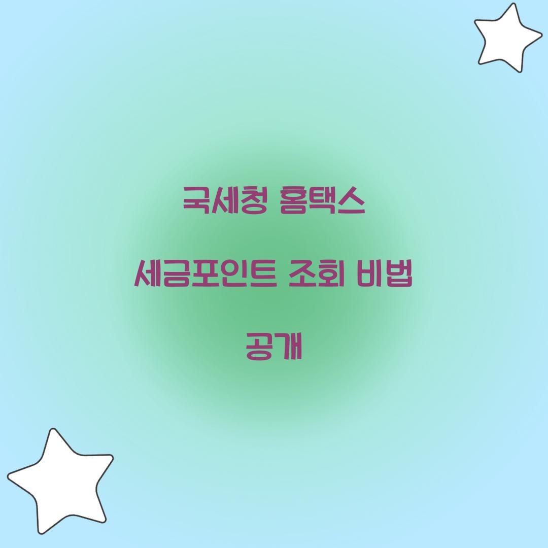 국세청 홈택스 세금포인트 조회