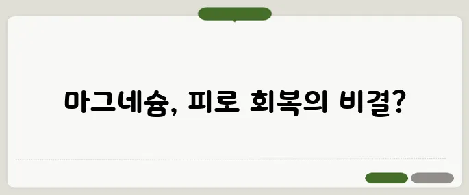 마그네슘 많은 음식 피로회복에 딱 좋아요!