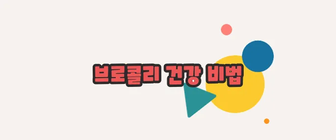 브로콜리 효능 지금 시작해보겠습니다