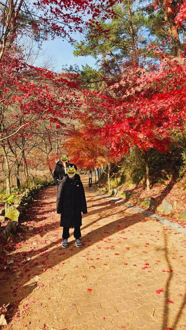 함안 입곡 군립공원