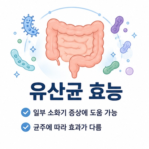 장과 유익균을 함께 표현해 유산균은 일부 소화기 증상에 도움이 될 가능성이 있지만 균주에 따라 효과가 다르다는 점을 보여 주는 그림