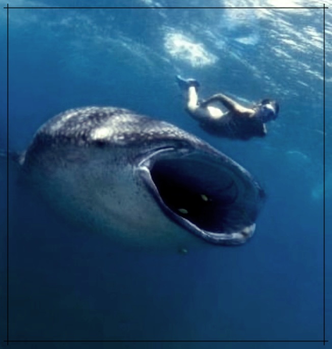 심해 공포증 테스트 방법