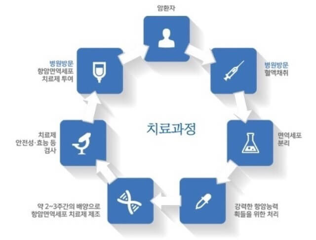 암 치료과정