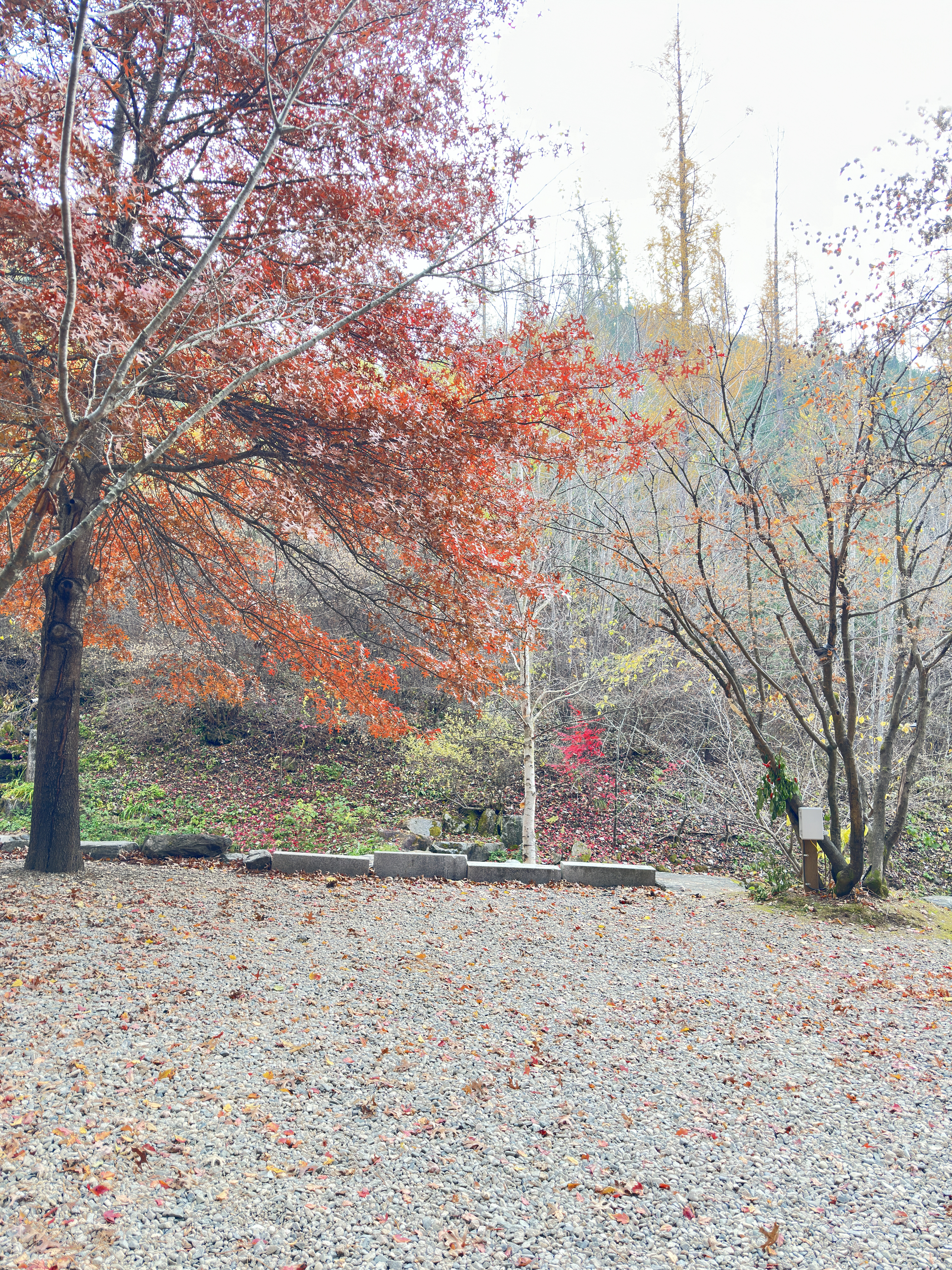 텐트 철수
