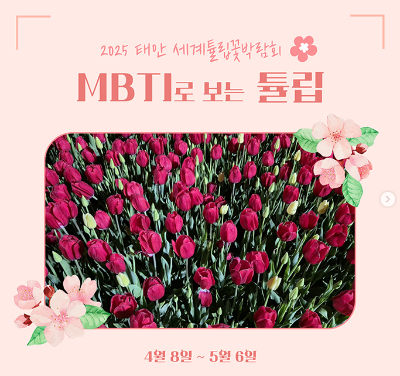 태안 세계튤립꽃박람회 일정 및 기간