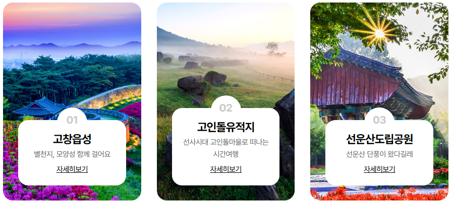 고창 청보리밭 축제, '폭싹 속았수다' 촬영지에서 즐기는 봄🌿