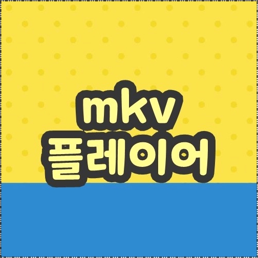 mkv 플레이어 mkv 플레이어
