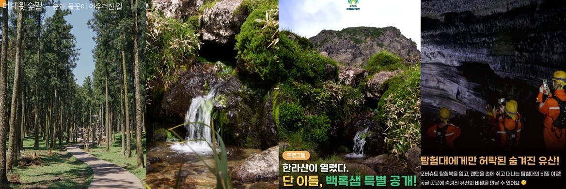 제주 숨은 희귀 장소 8선 탐험하기