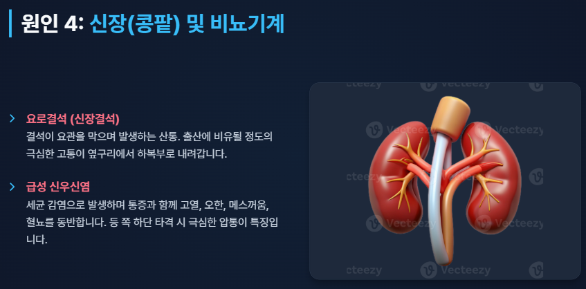 왼쪽 갈비뼈 아래 통증