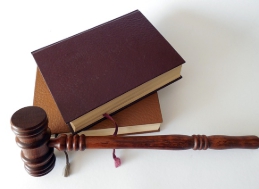 신평 변호사 프로필