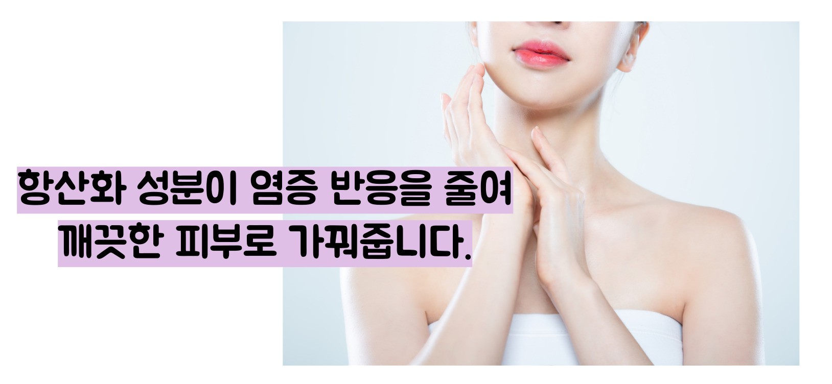 블루베리 효능