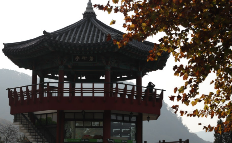 금강수목원